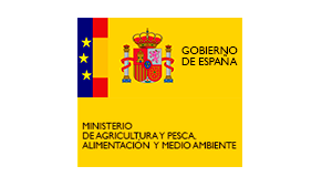 ministerio-rami